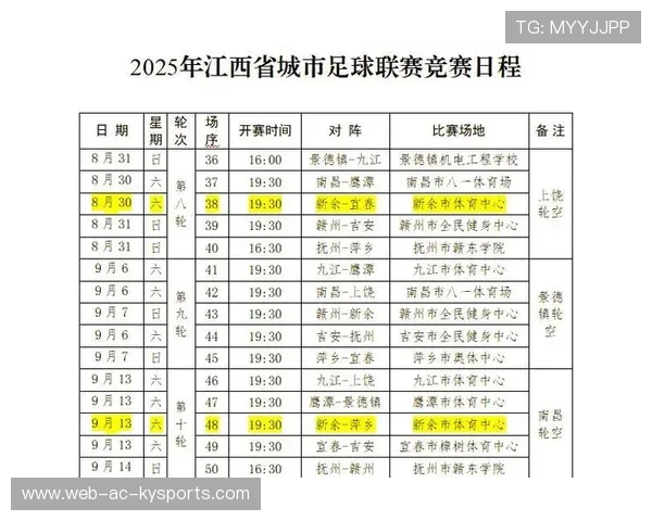 中国足球赛事志愿者服务水平不断提升，足球志愿者招募